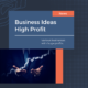 Business Ideas High Profit